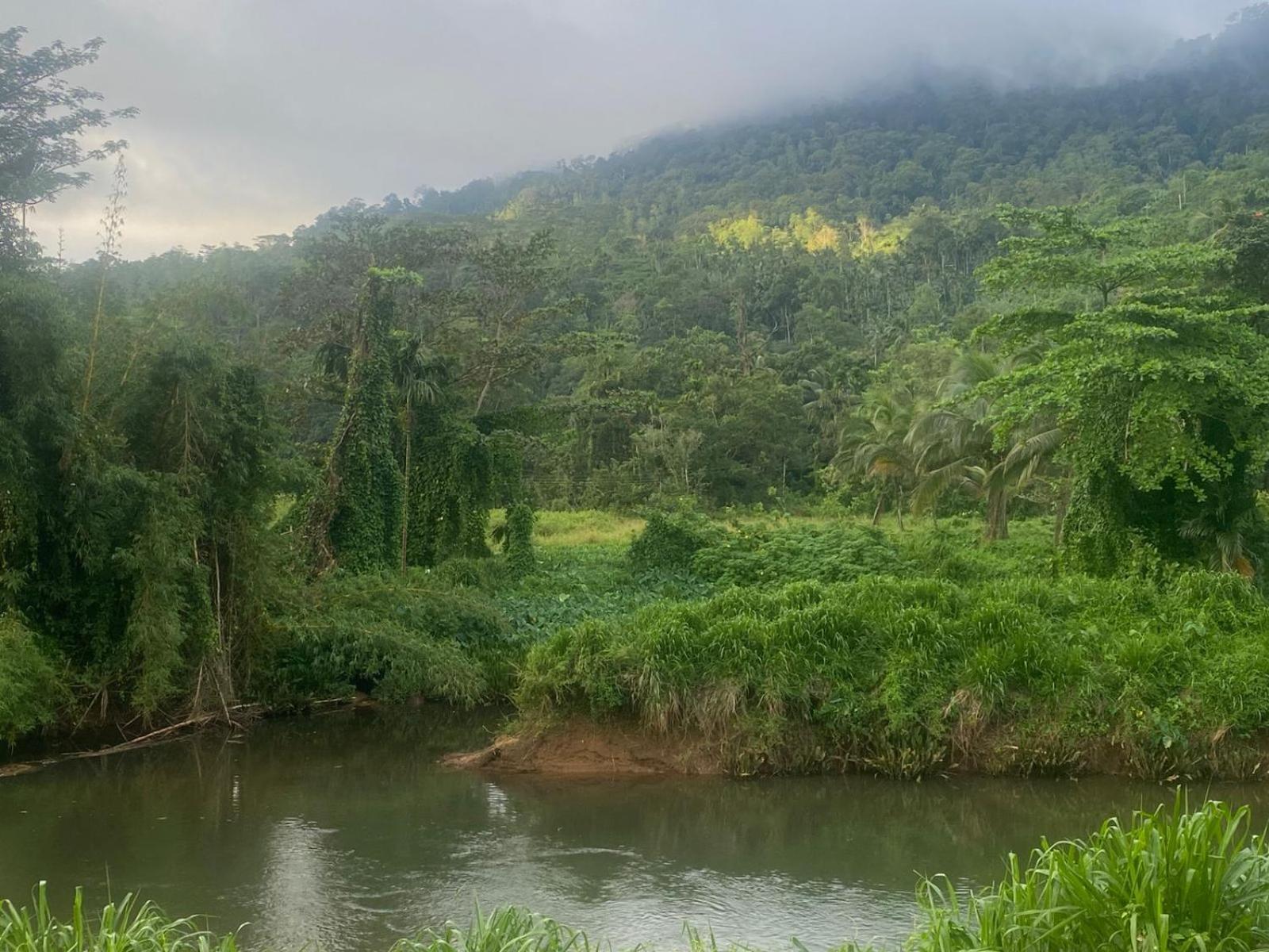 Sinharaja Riverside Deniyaya Rum bild